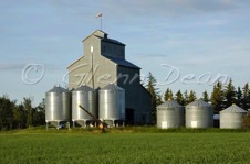 Grand Prairie area farm